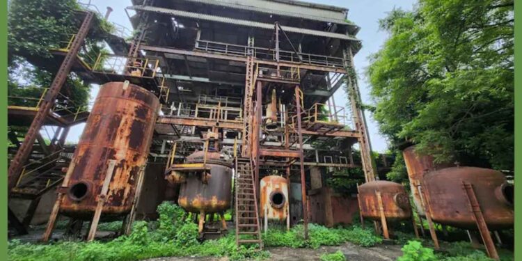 Bhopal gas tragedy: Toxic waste removed from Union Carbide factory after 40 years